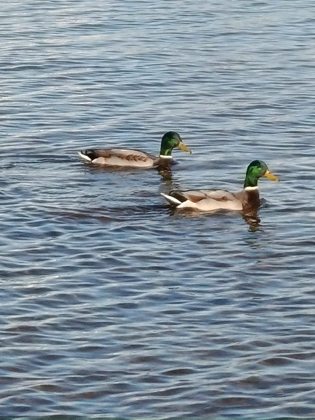 Чкаловск, солнечный день.05.11.25