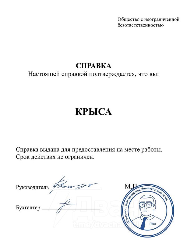 Сохраняйте скорее: в соцсетях появился самый нужный набор документов и справок к концу года.
