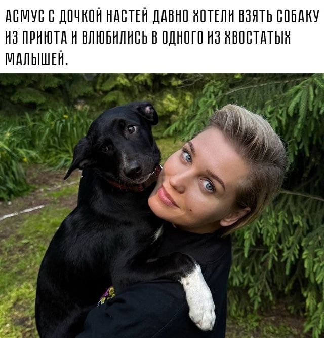 🐶 Собака может стать душой семьи — если все готовы де?...