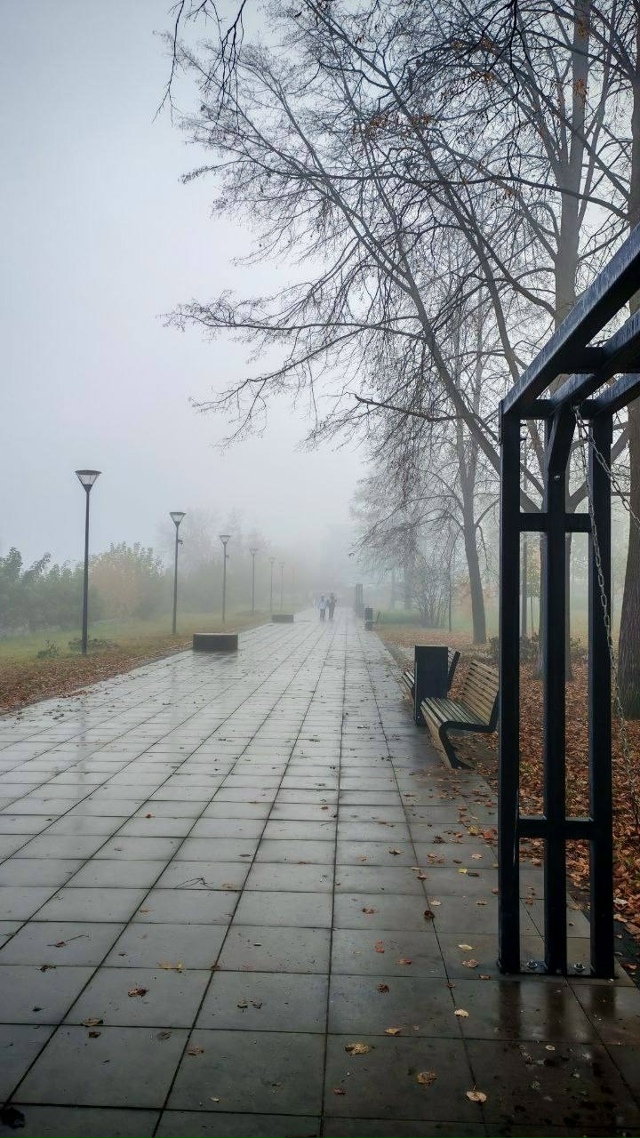 Зaпах осени в пaрке Гоголя ?