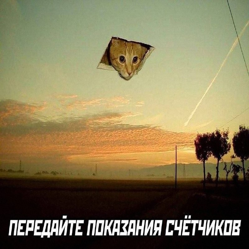 Утренняя подборочка