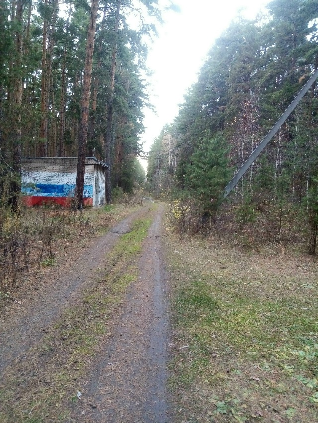 Немного позитива в ленту,.На снимках-осенняя прогулка ?...