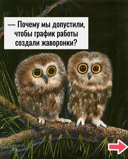 Секрет раскрыт!