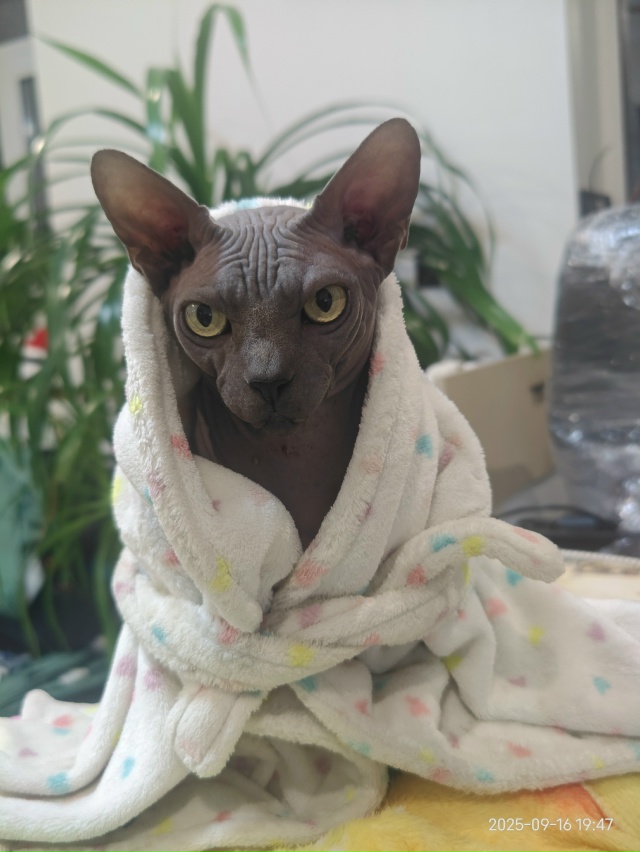 Эта любовь такая головоломка Теплого лета золотая уло?...