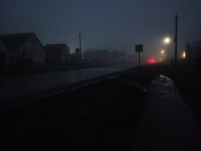 Это пешеходный переход в Городцах . У меня вопрос к адм?...