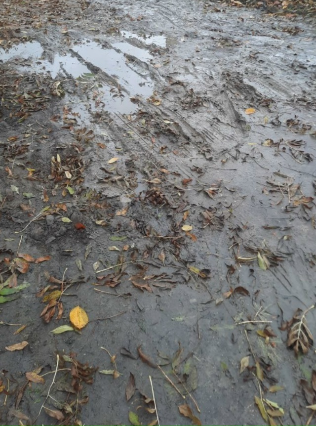 Качество дорог желает оставлять лучшего