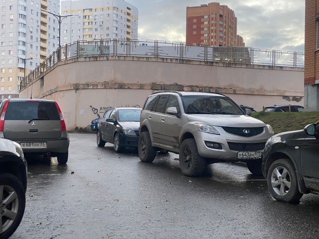 Чем руководствуются данные умственно-отстающие особи,...