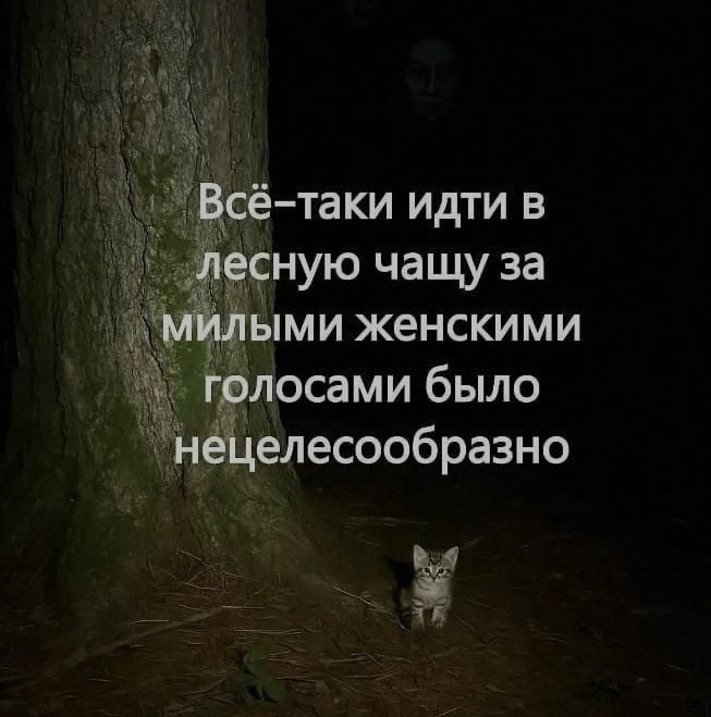 Ночная подборочка
Спать, режим