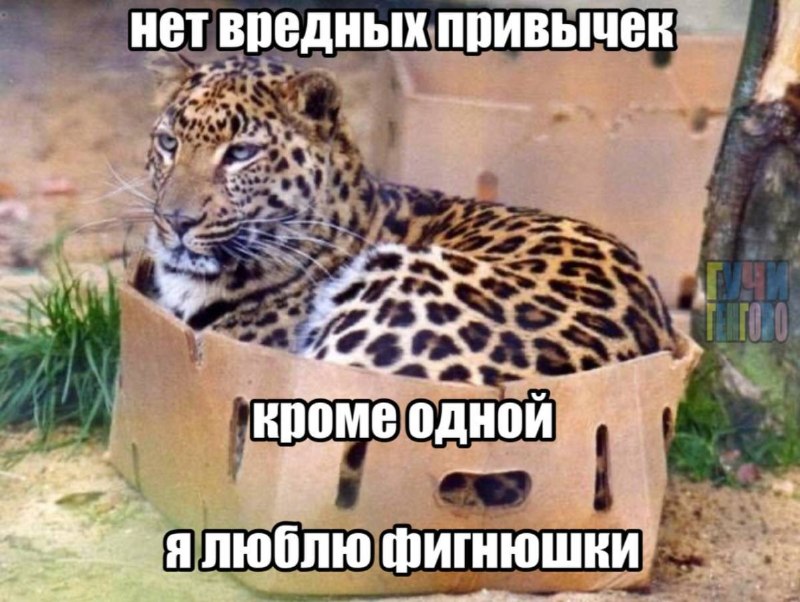 когда посчитала, сколько бабок ты въебываешь на всякую херобору с вб до 300 рублей каждая