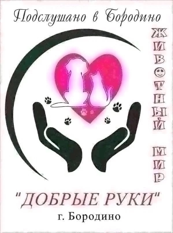 Ежедневный пост ЖИВОТНЫЙ МИР в комментариях этого
пос...