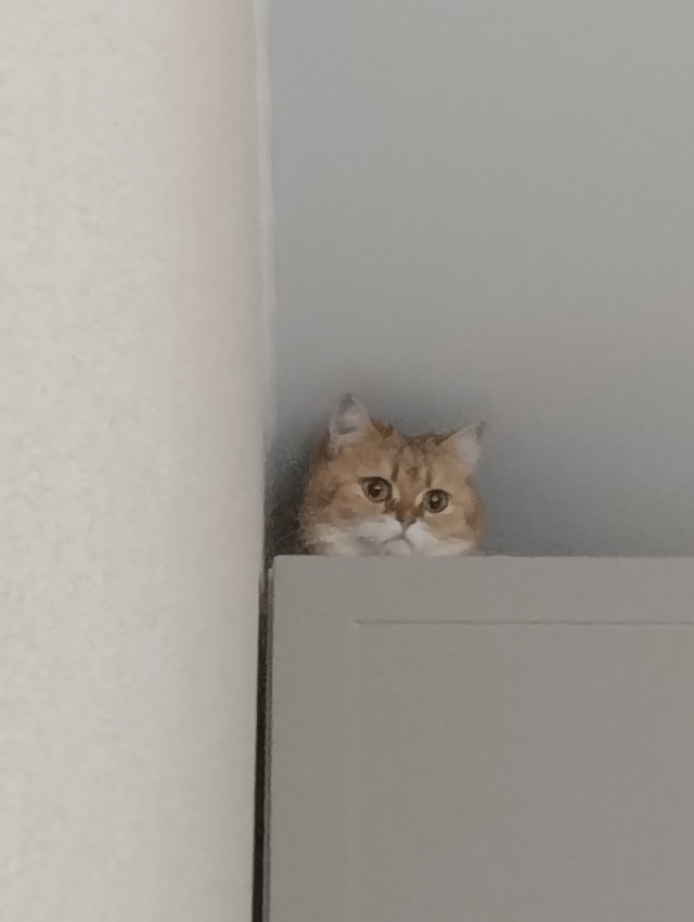 Это Маша когда вы играете со скримирами