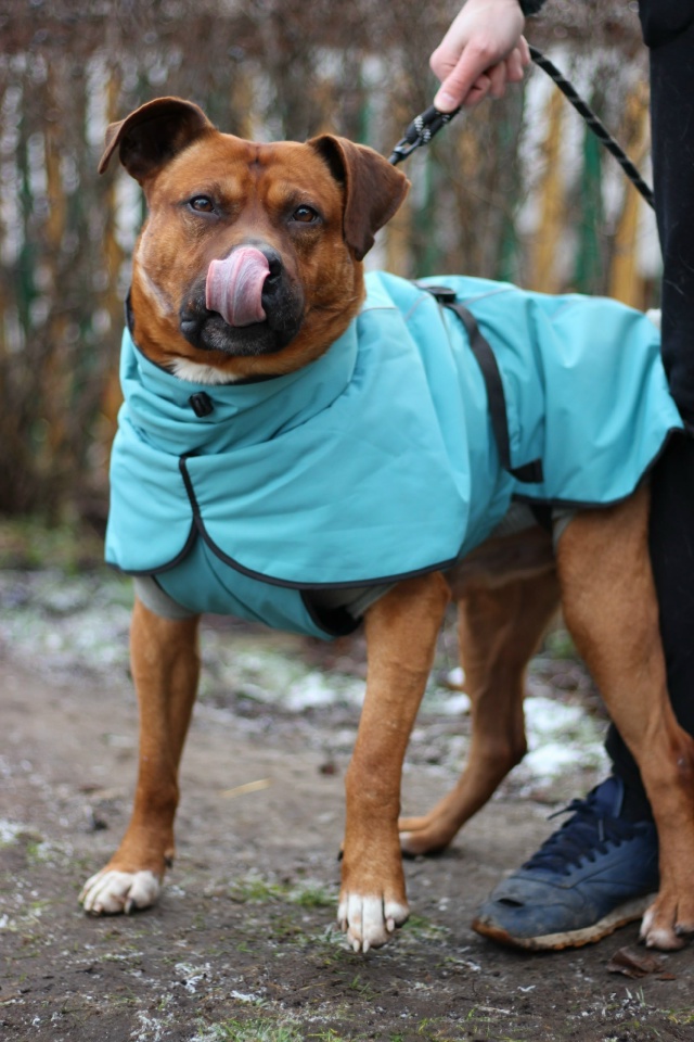 Серпухов, Протвино , Москва и вся Московская область.
С...