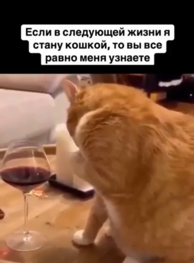 Этот знак ясно показывает, что вы точная копия.