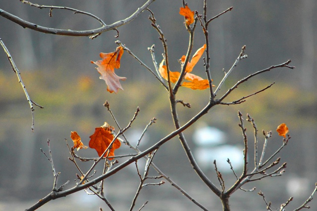 Доброго утра, Никольск❤