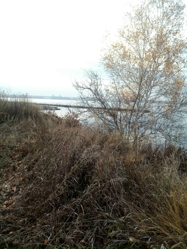 Немного позитива в ленту.На снимках-подборка № 3,прогу?...