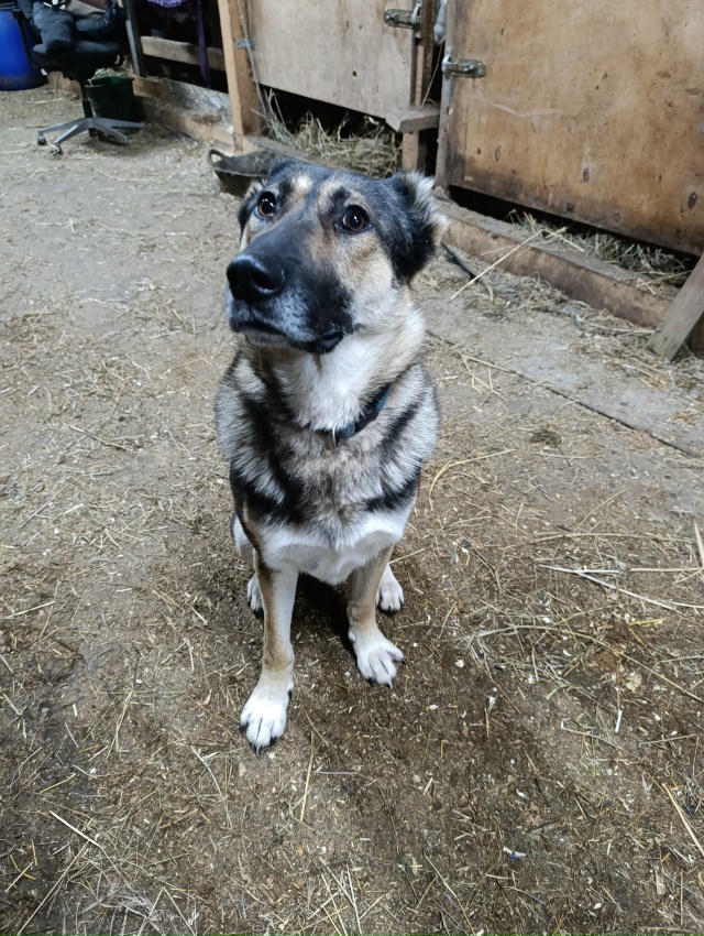 Чей хвостик после 00.00 часов каждую ночь прибегает? Може...