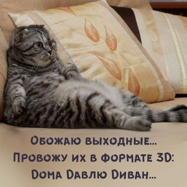 А как проходят ваши выходные?