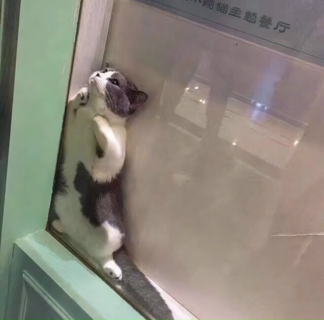 Это я застрял в субъективных рамках восприятия реальн?...