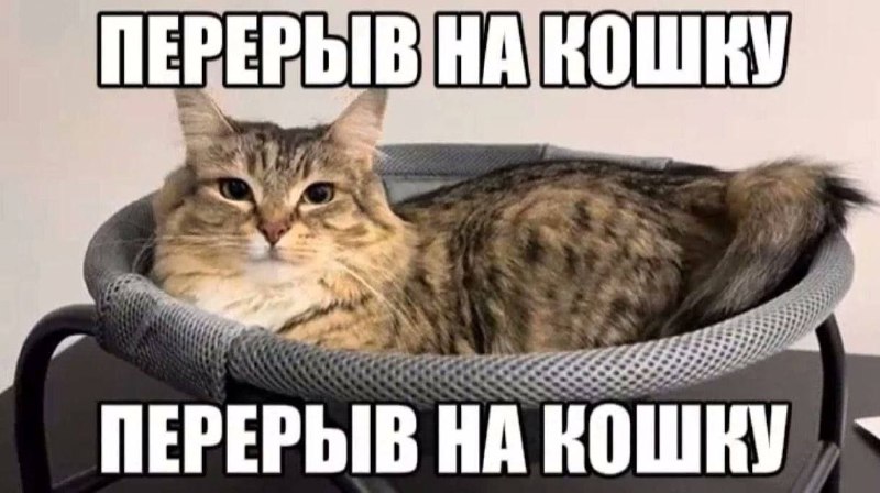 Утренняя подборочка