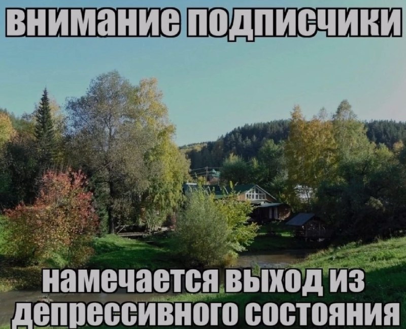 Ночная подборочка
Спать, режим