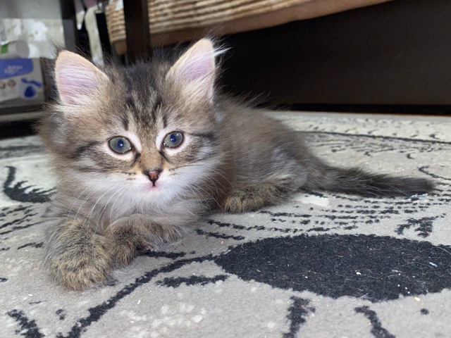 Ежедневно в 21 час по местному времени Ваши вопросы.
1⃣ ...