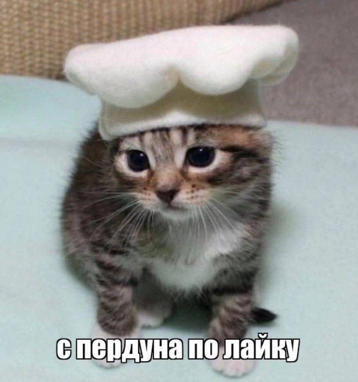 Утренняя подборочка