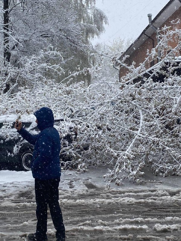 Москву завалило снегом.
Из-за непогоды на дорогах пробки, местами падают деревья, а чтоб уехать на