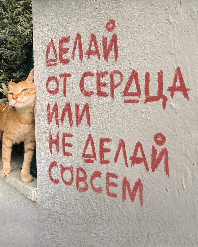 Стена фигни не скажет.