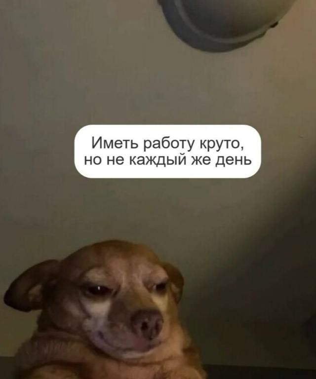 Типичные мысли в четверг?
А как проходит ваш день? Дел...