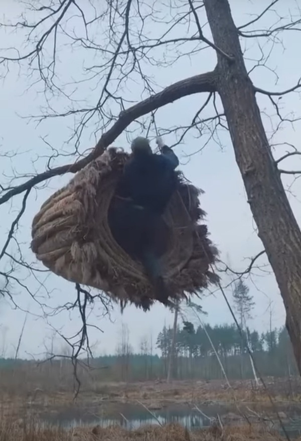 Получилась уютная ночлежка 👍️