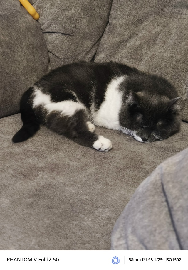 Ася спит, она опять устала.