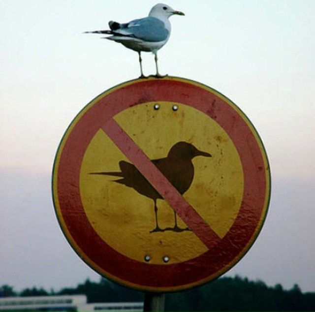 Ситуация в Telegram сейчас выглядит примерно так