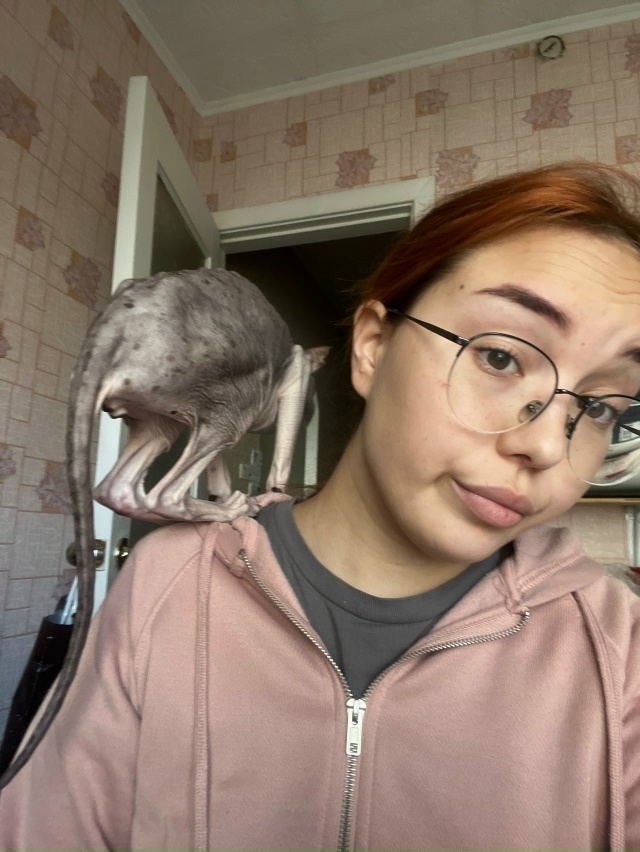 Мой лысый попи Филя