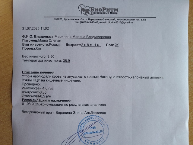 Друзья!
Мы снова к вам с просьбой помочь нам собрать де?...