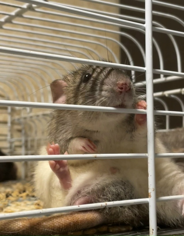 😭Крик о помощи...
Дорогие друзья, меня зовут Маша и я в?...