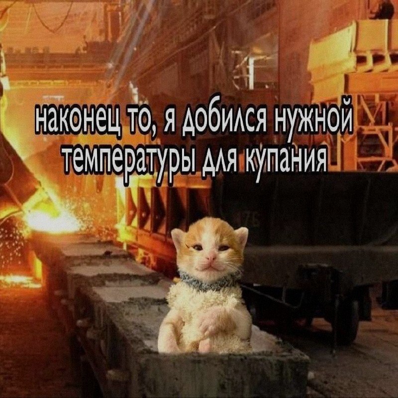 Ночная подборочка
Спать, режим