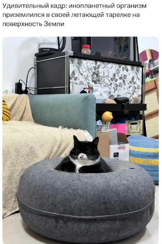 Инопланетяне существуют, вот пруф