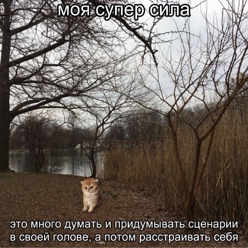 Утренняя подборочка