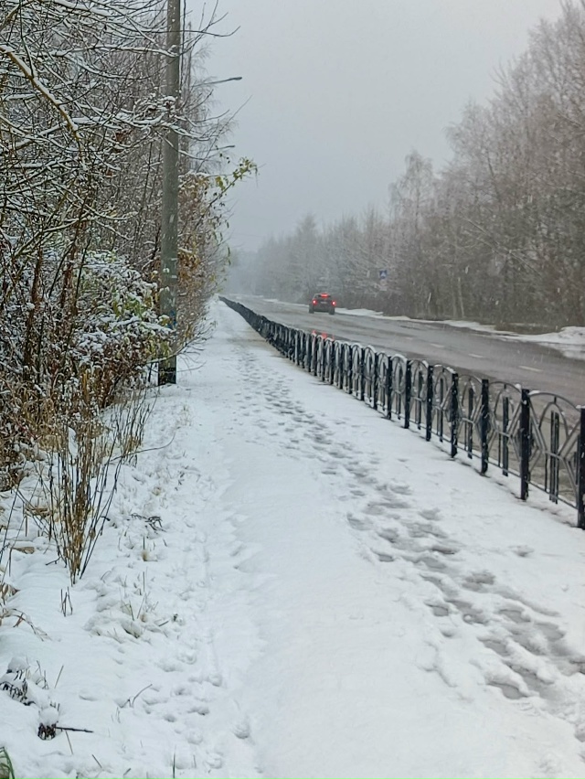 Доброе утро!
📸Ирина Белова