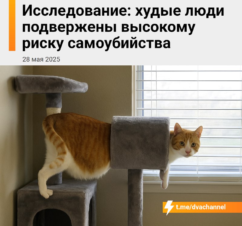 Худые люди чаще кoнчaют с coбoй, выяснили учёные
Корейские исследователи изучили данные более 4 мил