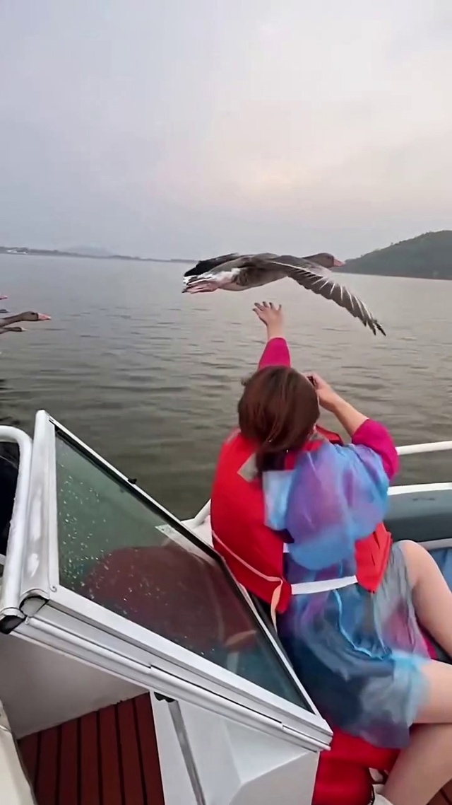 Вы когда НИБУДЬ мечтали ПОЛЕТАТЬ в стае с утками 🦆👍