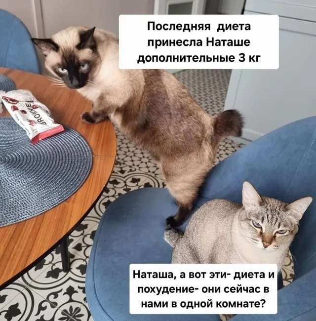 Те еще советчики😅