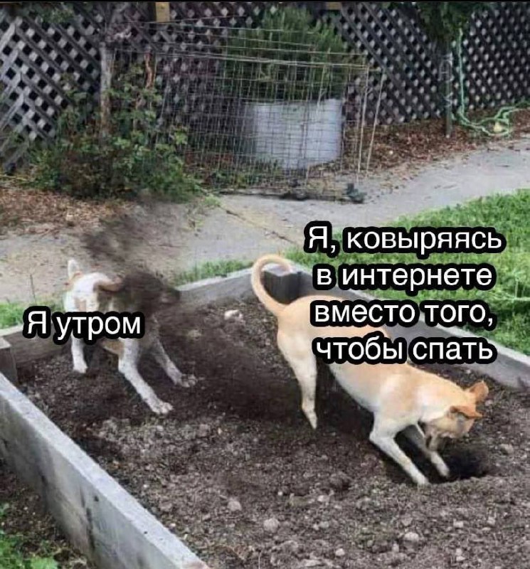Утренняя подборочка