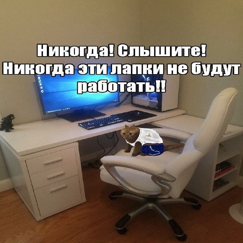 Утренняя подборочка