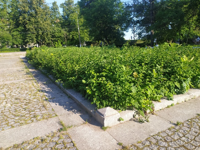 В коллекцию городских 
