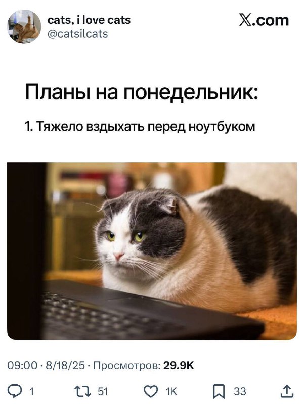 Не, ну мы