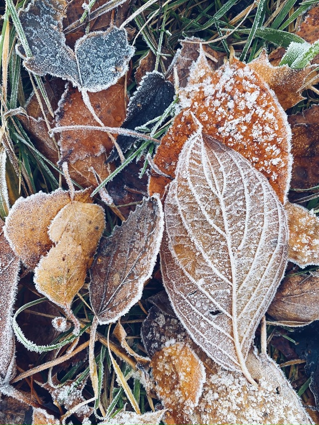 🔴В Самарской области 26 ноября резко похолодает до -6°C ...