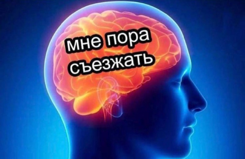 никто:
я после малейшего конфликта дома: