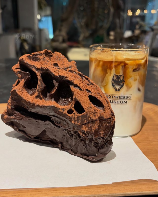 В Южной Корее открыли кафешку Rexpresso Museum, где выставили настоящие кости тираннозавра
А их гла