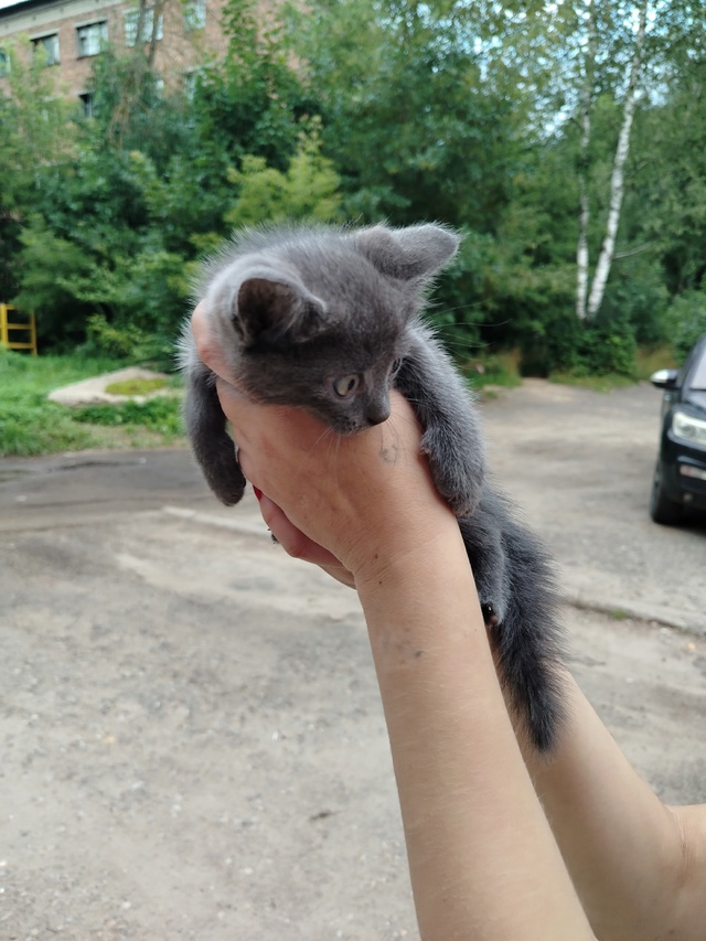Здравствуйте. Хочу обратиться к не людям, которые сего?...